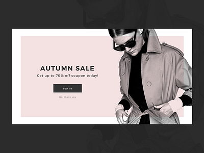 Pop-up / Overlay 016 clean dailyui fashion interface overlay popup ui