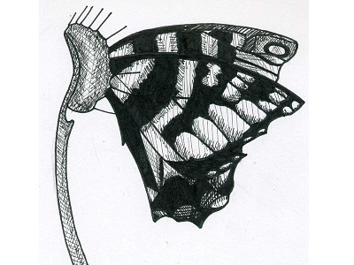 Inktober 2018 Day 6 - 'Drooling' animal black and white butterfly ink inkart inktober inktober 2018 inktober 2018 day 6 inktober day 6 inktober drooling october pen pigment pigment pen plant venus fly trap