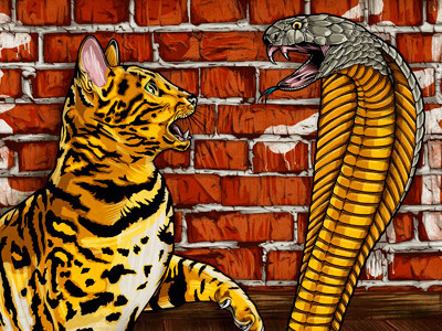 Tiger & Dragon asian cat cobra cockfight dragon tiger