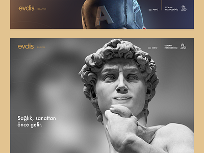 Evdis Web UI Design v2