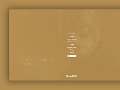 Hover Menu Design