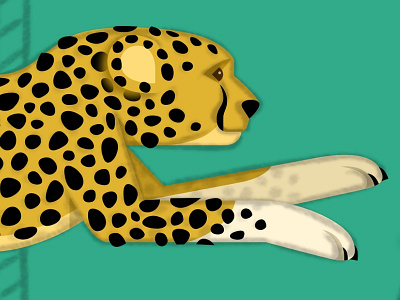 Cheetah WIP carousel cheetah illustration sketch app spots vector