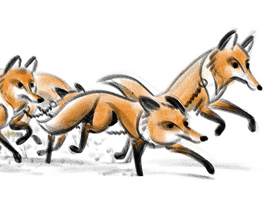 Foxes digital drawing fleet foxes pencil photoshop sled snow