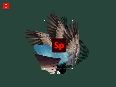 Adobe Spark adobe adobespark spark