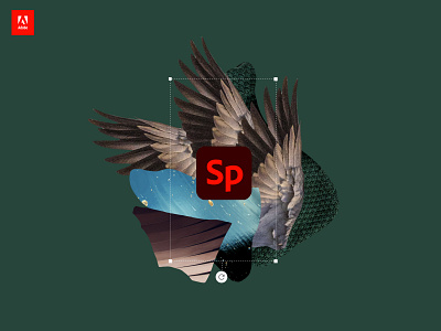 Adobe Spark