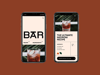 Bar Recipe App app recipe
