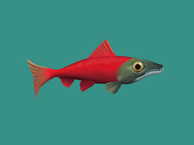 Salmon's journey (aka Lashisha) 2d art character design digital drawing fish game character game design game jam gamejam illustration salmon