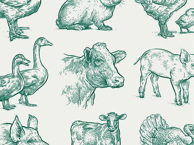 Farm animals #1 animals engraving etching illustration vector
