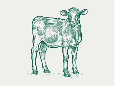 Farm animals #5 animals engraving etching illustration vector