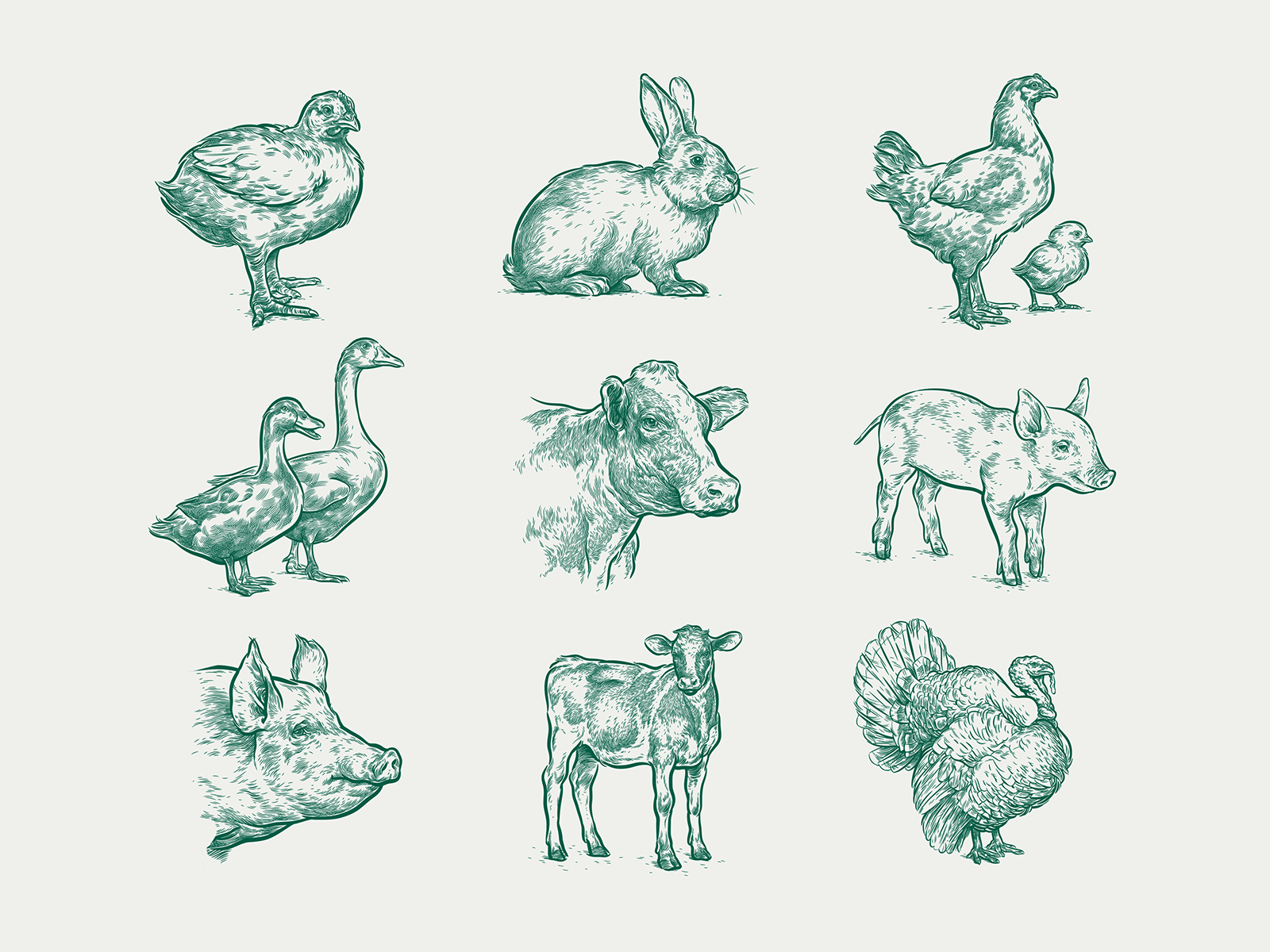 Farm animals #6 animals engraving etching illustration vector