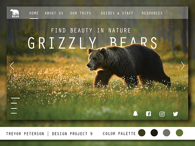 Daily Web/UI Design 09 | Grizzly Bear Website bear daily web design designinspiration interface minimal minimalistic ui ui ux design uidesign uiux ux design web design