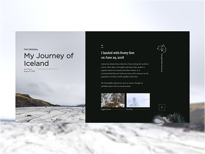Journey of Iceland blog page redesign blog concept iceland illustration minimal minimalist travel ui ux design web design web designer website