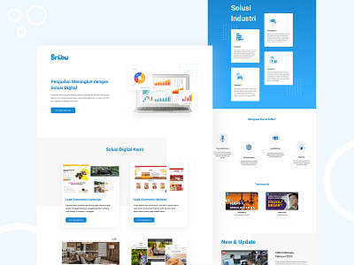 Business Solution Landing Page
