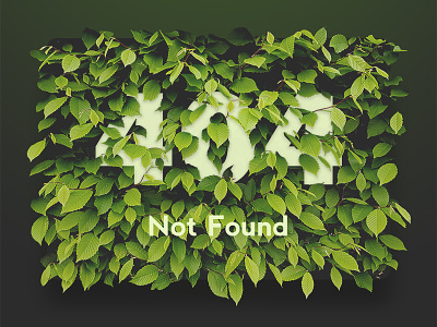 404 Not Found 404 background e-commerce flat flowers interface material photo store ui ux web