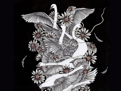 The Six Swans animals beauty drawing fairy tales flowers grimms brothers herbalism illustration needle and thread painting six swans swans