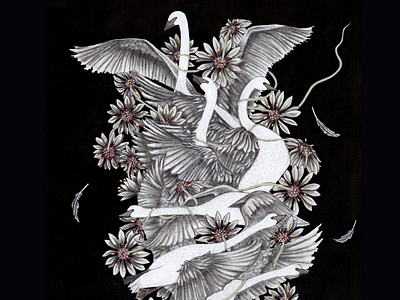 The Six Swans