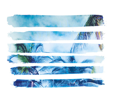 watercolour Palm stripes apparel branding fashion graphic illustration t shirt tee