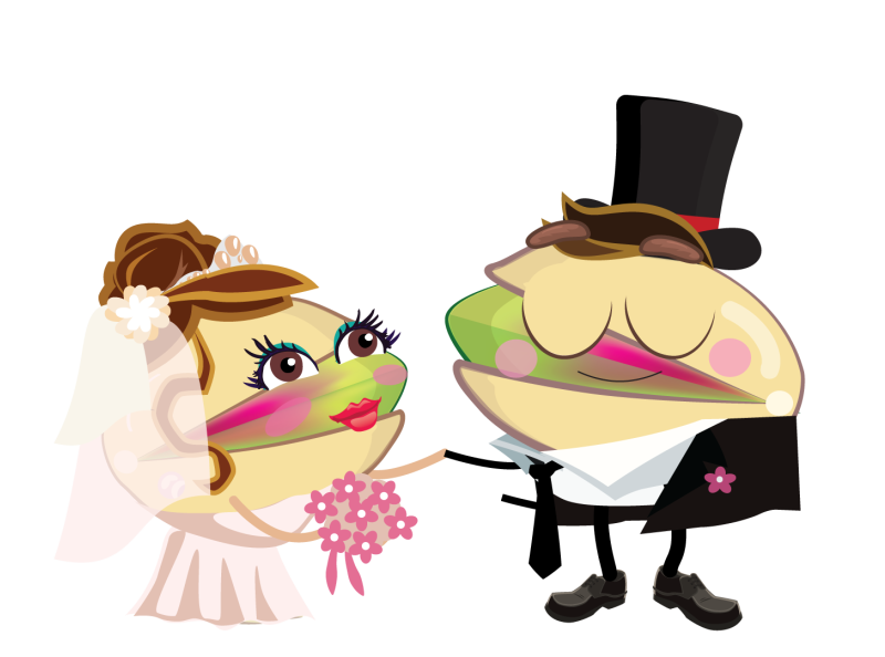 pista by Kamyar Karimi on Dribbble