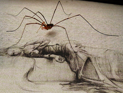 spider on drawing drawing sketch spider woman