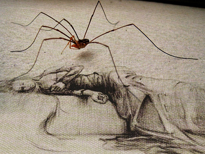 spider on drawing