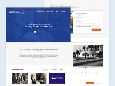 Anniversary Landing Page economic development graphic design icons user experience user interface visual design web design