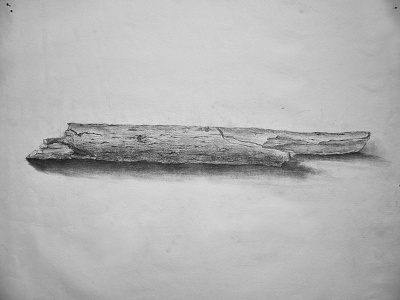 Beautiful Wood~ dead wood drawing painting sketch tree wood