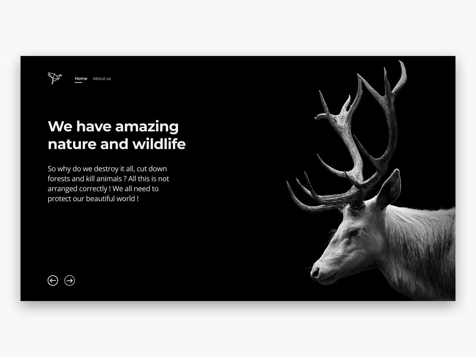 Save Animals Website Homepage Design by Hayk G. ️ on Dribbble