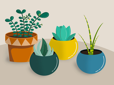 Succulent plants in colored pot - Illustration crassula illustration illustrator plants succulent succulents surface tablet design