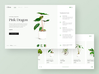 Flower Shop Website design ecommerce green icons interface minimal plant shop typography ui ui design uidesign ux web website