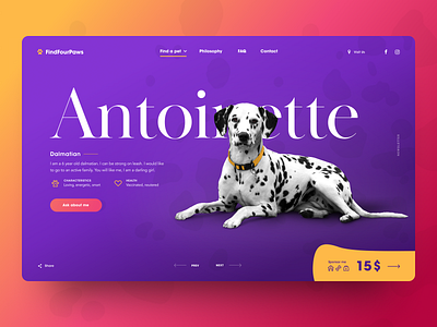 Find Four Paws – Dog Adopt Service adopt animal design dog interface landing orange pet purple typography ui ui design uidesign ux web website