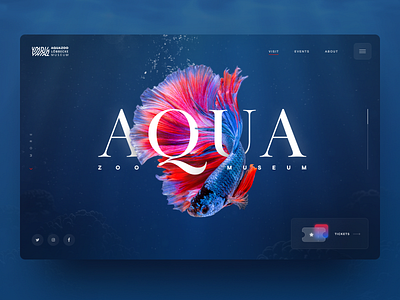 Aquazoo Website animal blue dark design fish glass interface museum siamese ui ui design uidesign underwater ux water web website zoo