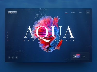Aquazoo Website