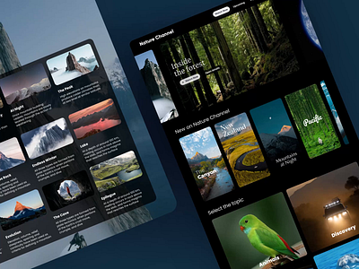 Nature Channel Streaming App Concept — General app clean interface dark ui design inspiration movie netflix stream streaming trendy ui ux video