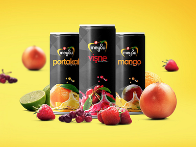 Meysu - Packaging Design branding can design corporate branding design food fruit illustration illustrator juice package packagedesign typography vector