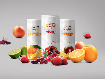 Meysu - Packaging Design branding can design corporate branding design food fruit illustration illustrator juice package packagedesign typography vector