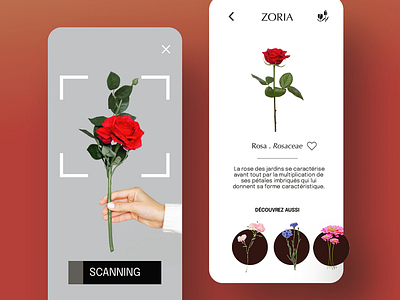 Rose life 🌹 app design adobexd flower rose ui uiux ux