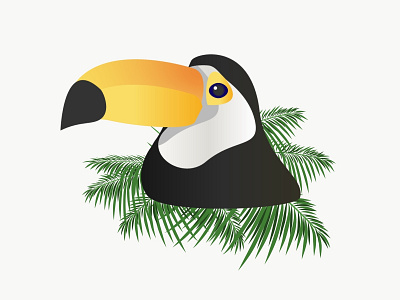 Toucan