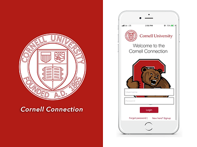 Cornell Connection