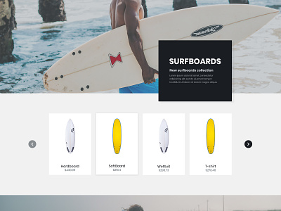 Top Product by category ecommerce hostel shop surf ui webdesign