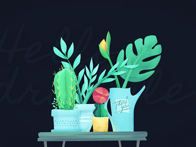 Hello Dribbble cactus hello dribbble succulents