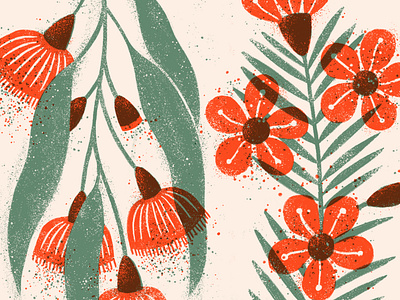 Australian Natives australian flora australian flowers floral illustration flower illustration graphic design illustration photoshop brush red green illustration screen print two colour design