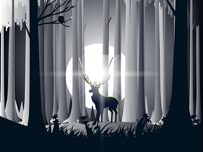 Deer In Night