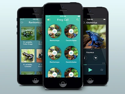 Frog Call app frogs grid player