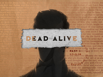 Dead or Alive Series Graphic- 2.2