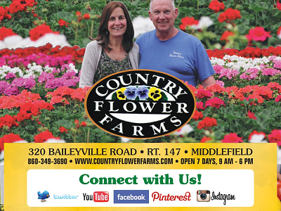 Country Flower Farms Flyer advertisement design flyer illustration photoshop