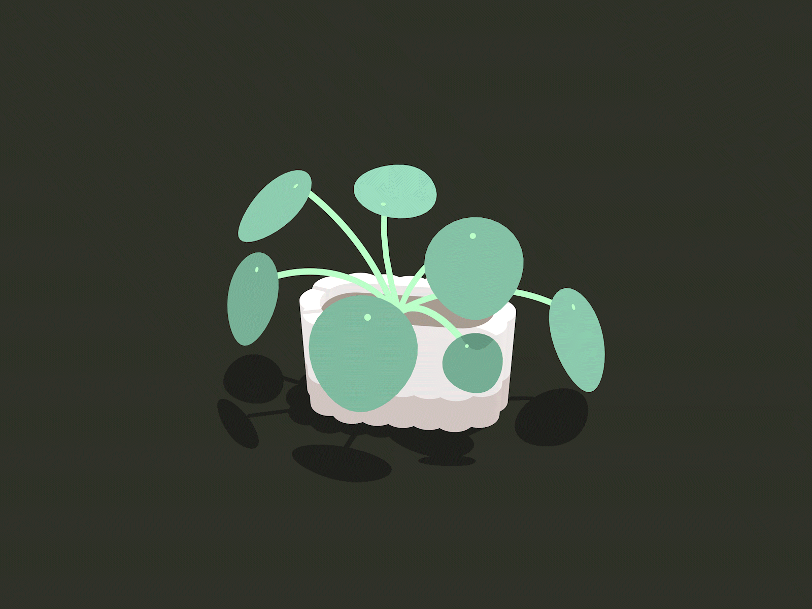 Potted Plant Animation
