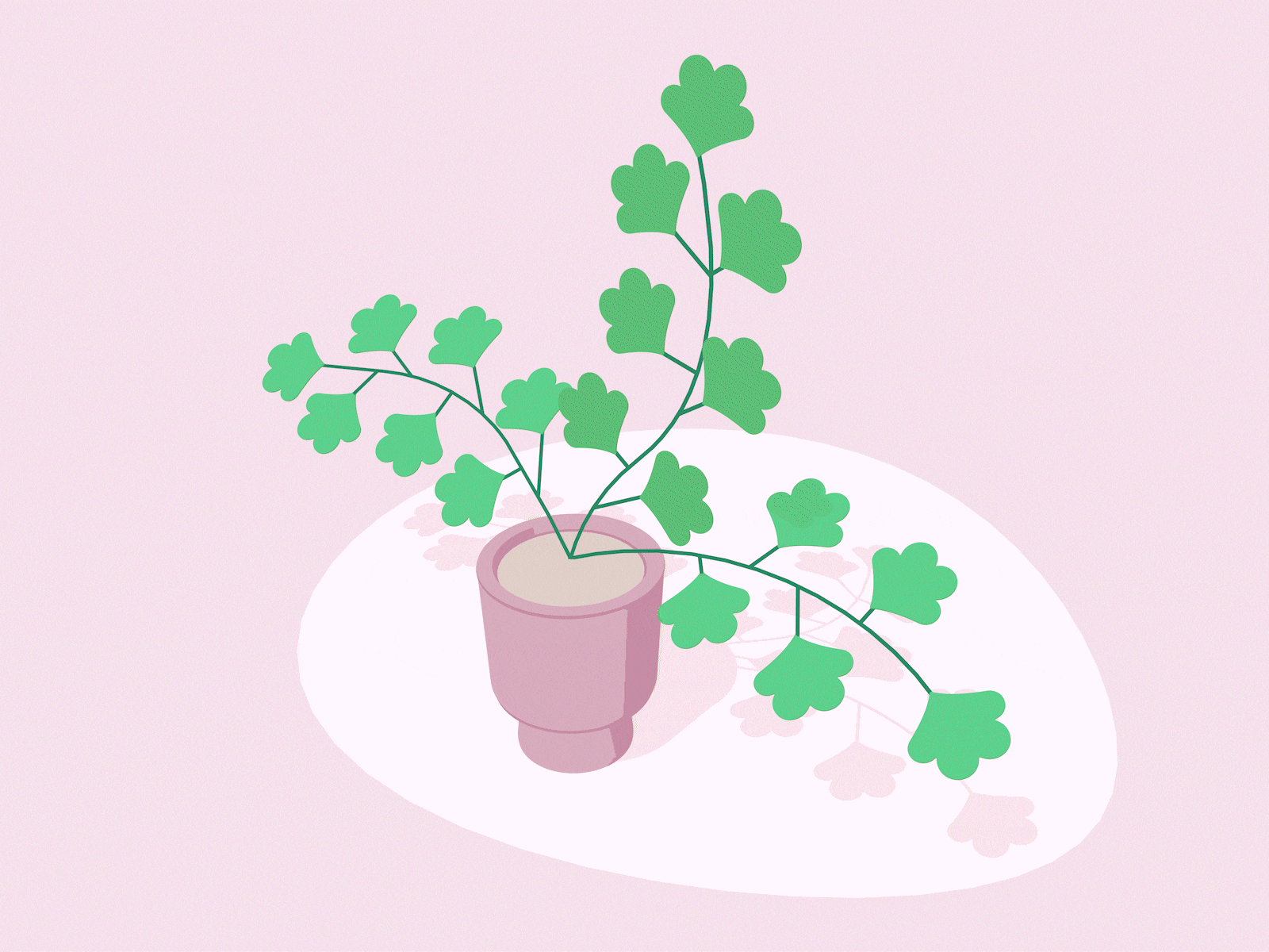 Maidenhair Fern Animation animation design fern flower green illustration maidenhair fern pink plant potted plant wind