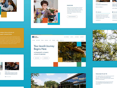 Temple Emanu-El Website agency animation branding design figma graphic design temple ui ux web design