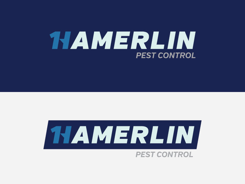 Hamerlin Logo hamerlin brand identity logo