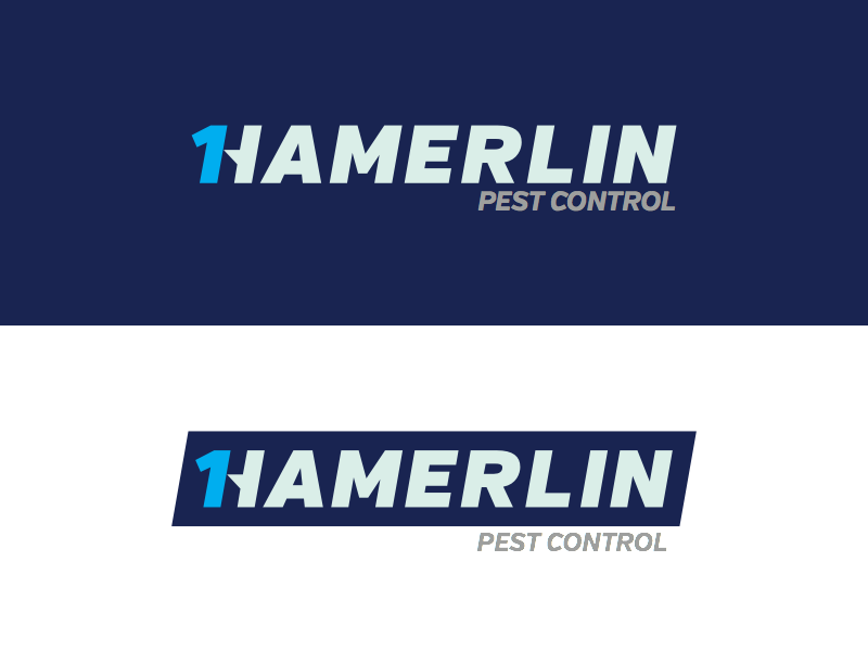 Hamerlin logo v2 hamerlin logo branding